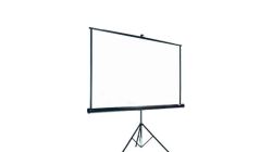 Screen 180 cm x 180 cm (frontal projection)