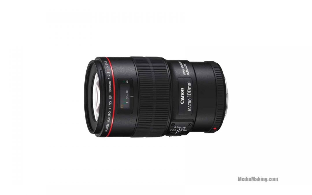Ottica Canon EF 100 mm f/2.8L Macro IS USM