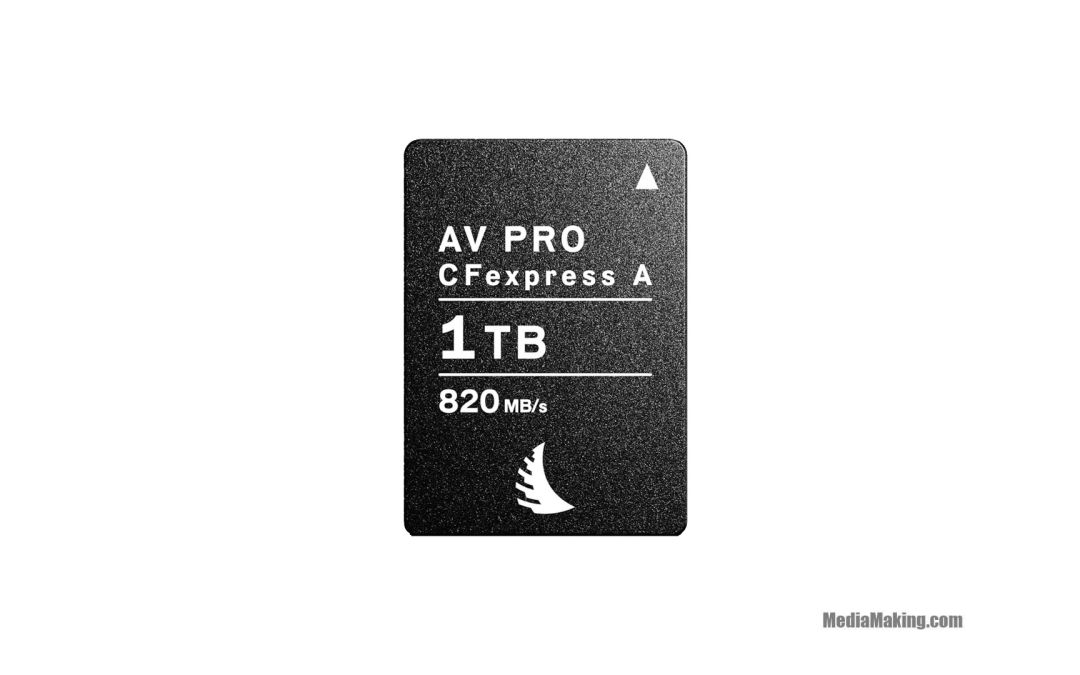 Scheda di memoria Angelbird AV PRO CFexpress 2.0 Type A 1 TB