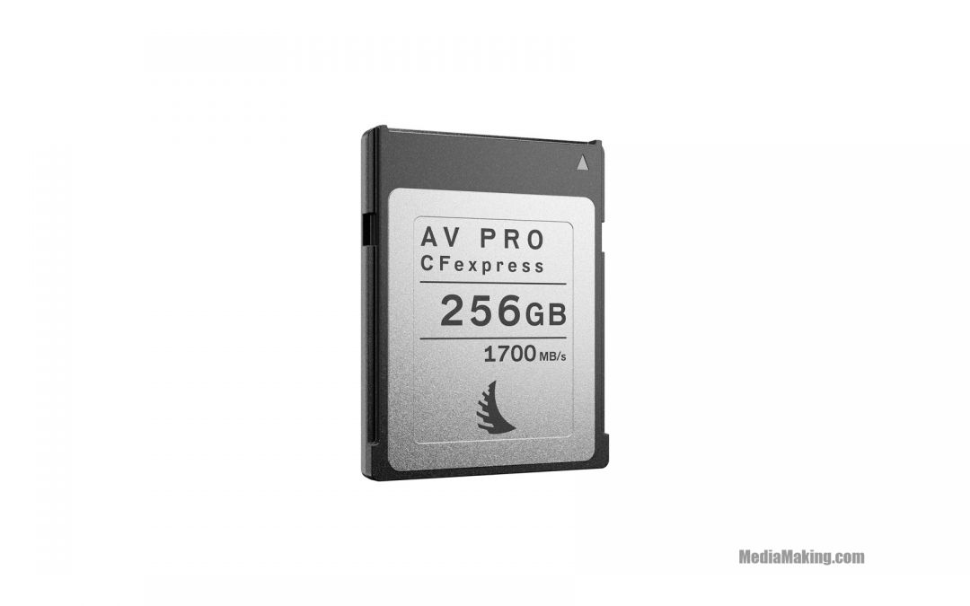Scheda di memoria Angelbird AV PRO CFexpress 2.0 256 GB
